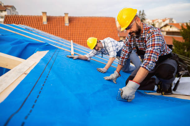 Roof Coating Services in Hillandale, MD