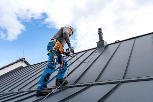 Best Skylight Installation and Repair  in Hillandale, MD